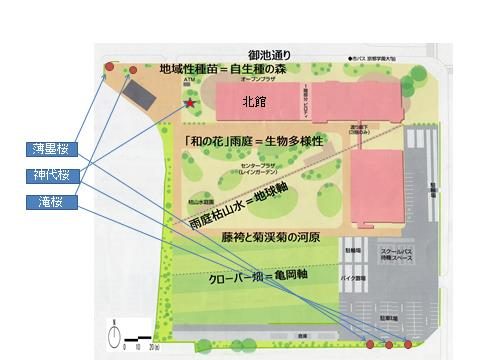 京都学園大学・京都太秦キャンパス 記念植樹