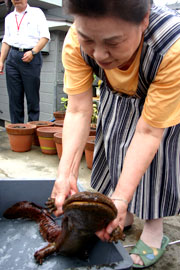 発見者の齋藤さん